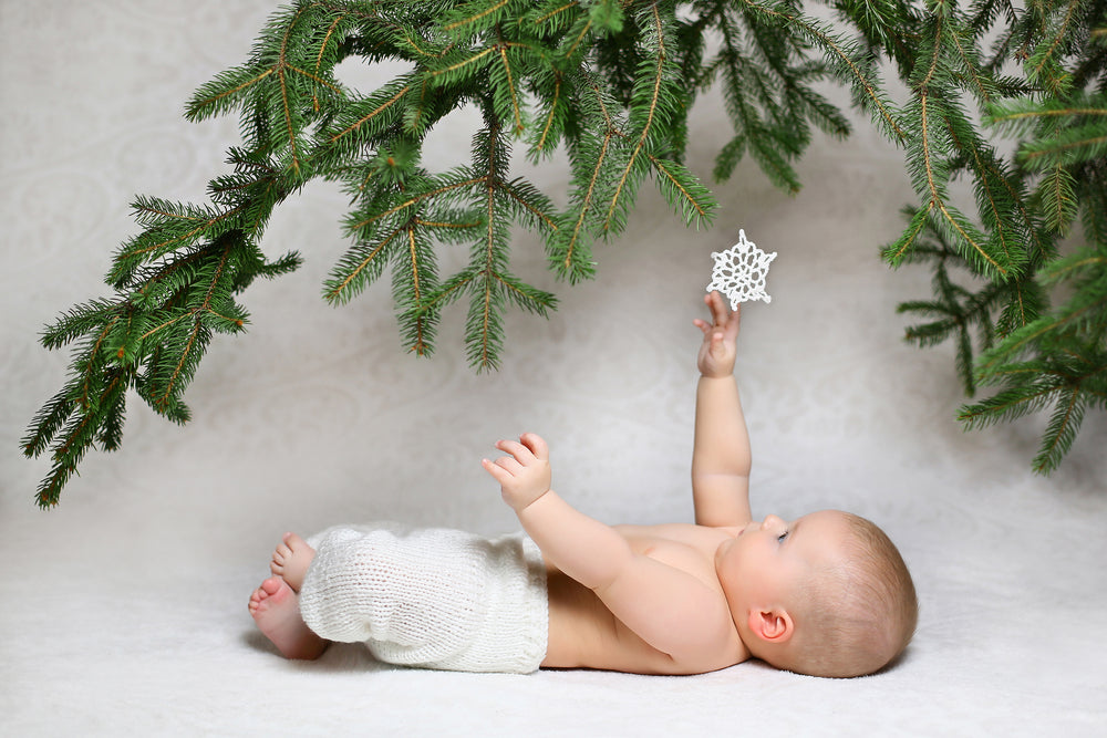 Donate Holiday Season 2025